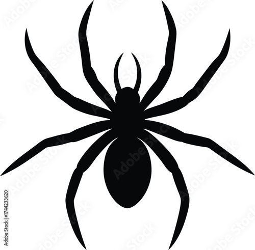 Spider silhouette vector art illustration