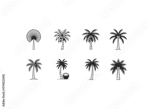 Variety of palm tree icons