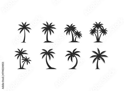 Various black palm tree silhouettes