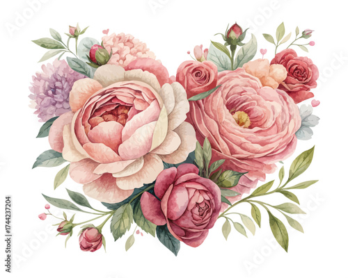 Romantic Peony and Rose Watercolor Combo Illustration isolated on white background