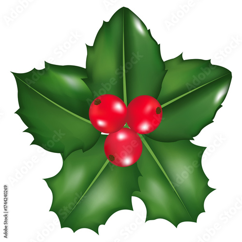 Christmas poinsettia isolated on white background