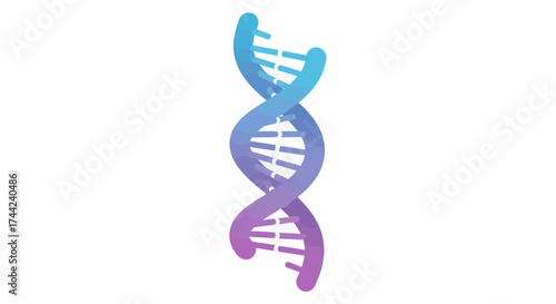 Gradient Dna Strand Isolated On White Background Illustration