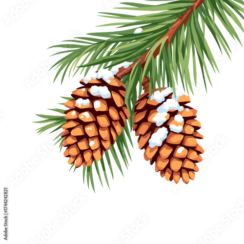 Fir branch with pine cones covered in snow realistic winter christmas holiday decoration background design for greeting cards and festive celebration