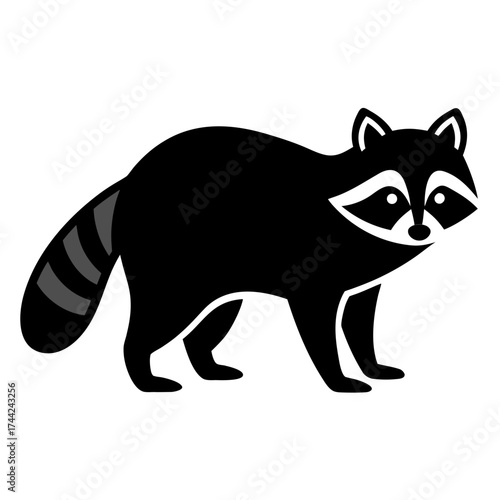 Raccoon vector icon on white background.