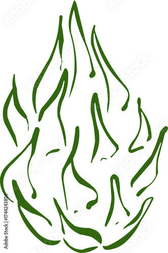 Hand drawn fruit . Ink logo,  icon. Vector illustration.  Dragonfruit 
