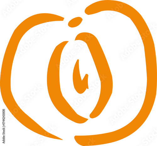 Hand drawn fruit . Ink logo,  icon. Vector illustration. Apricot 