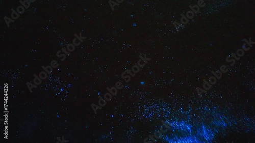 Closeup of bioluminescence (Noctiluca scintillans) in the waves