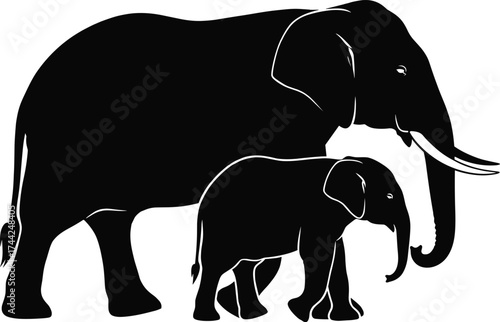 Elephant and Calf Illustration