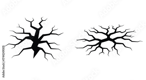 Two abstract black crack patterns resembling fractured surfaces or tree roots