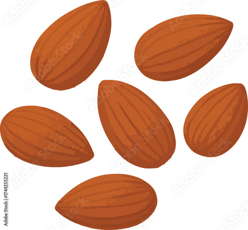 Six brown almonds scattered on white background nuts
