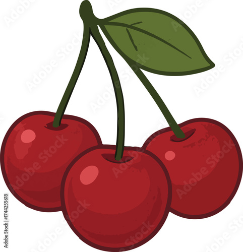 Three Red Cherries with Green Leaf and Stems cherry