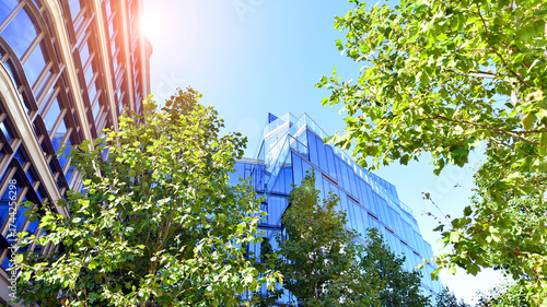 Glass office building surrounded with green trees.  Eco-friendly office building. Sustainable architecture of city reducing heat carbon dioxide modern city environment.