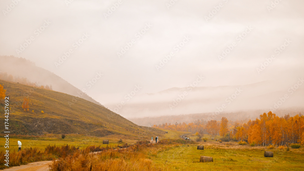 Fototapeta premium autumn landscape in the mountains
