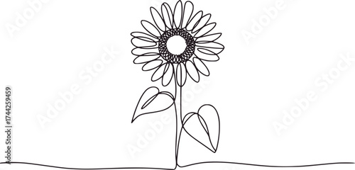 Single line drawing of a sunflower with leaves line art