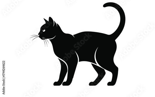 Vectorized cat for print, sketch, Wallpaper, Decoration 