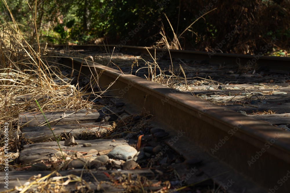 Fototapeta premium Train Tracks Through Overgrown Grass and Stones in a Serene Wooded Area on a Sunny Day