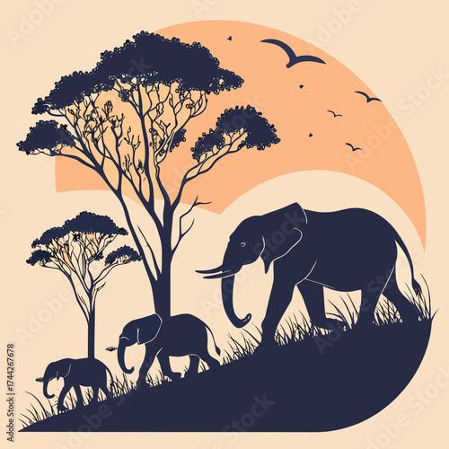 wild animals in the wild