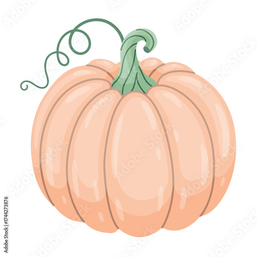 Autumn pumpkin. Hand drawn trendy flat style isolated on transparent background. for Halloween or Thanksgiving stickers, menus, apps, posters, design. Vector illustration