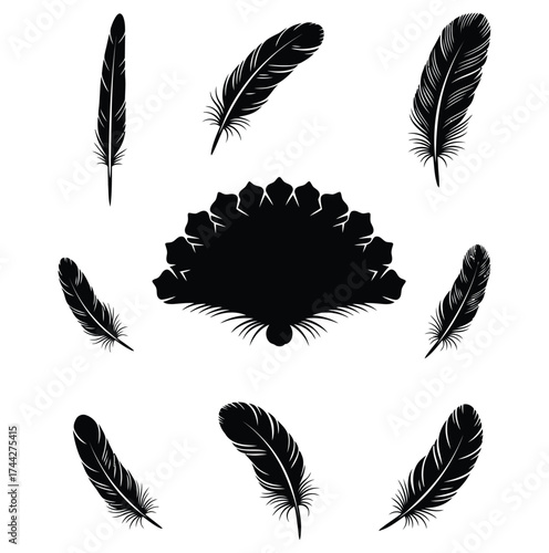 Elegant black feathers arranged around a central fan shape on a clean design element on white background