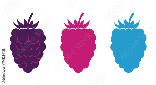 Three colorful raspberry illustrations showcasing vibrant hues and distinct shapes
