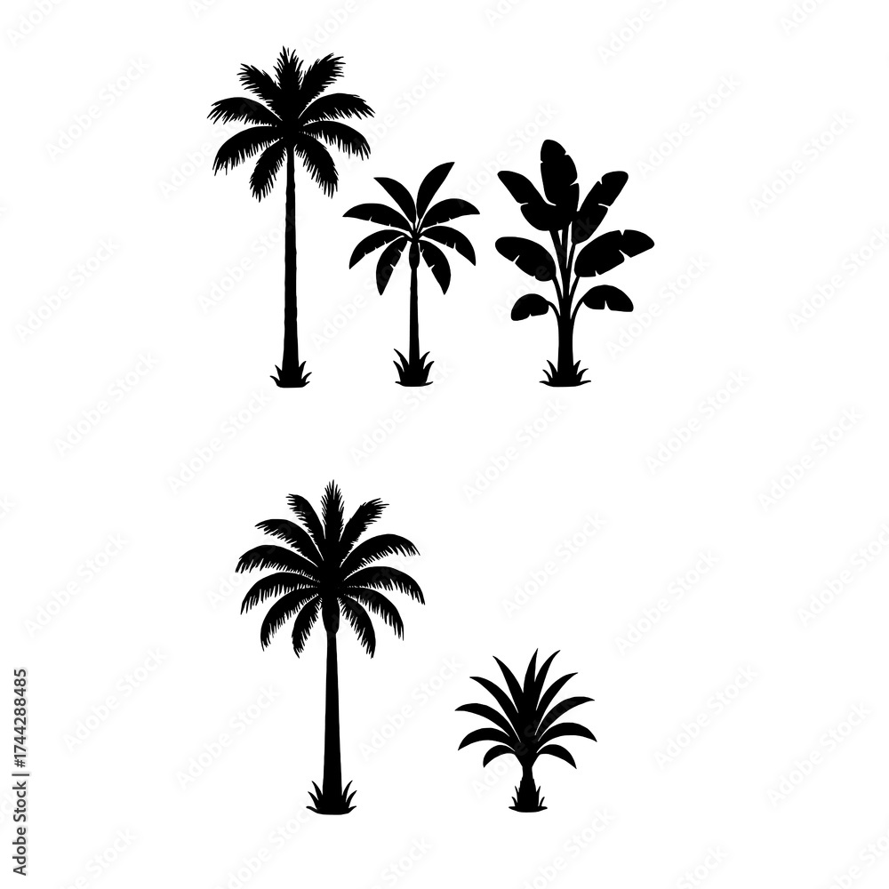 Fototapeta premium Black and White Tropical Plant Silhouette Set Vector 
