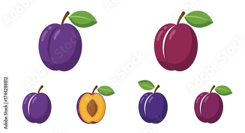 A colorful illustration featuring various plums and a cut plum fruit