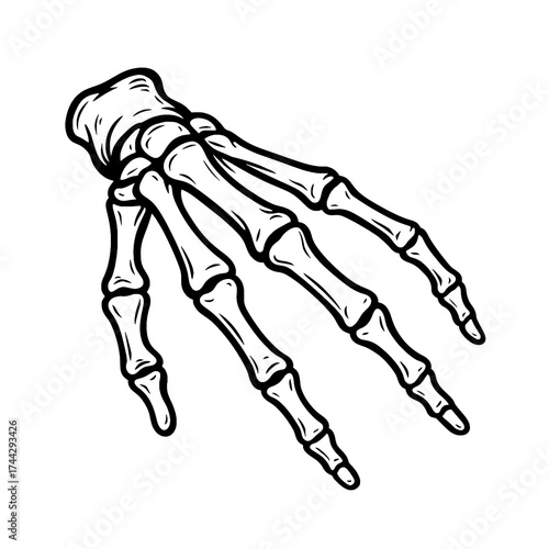 Skeleton Hand Vector Illustration

 

