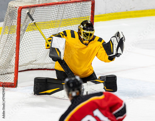 Photography Great glove save by the ice hockey goalie
