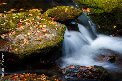 Small waterfalls with colorful autumn leaves and rocks.