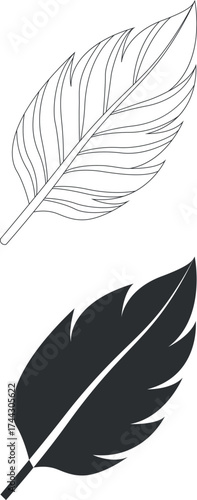feather isolated on white background line art 