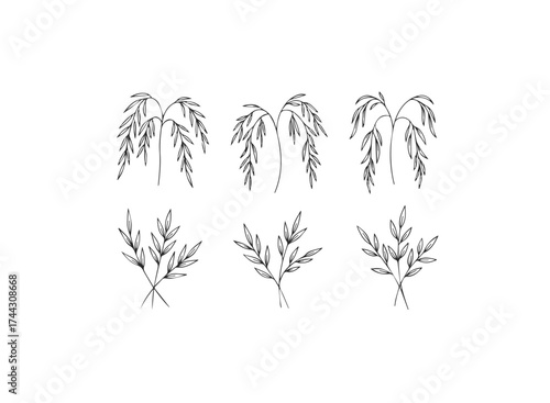 Set of handdrawn willow branches and leaves