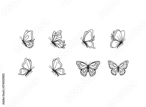 Collection of eight different butterfly line drawings