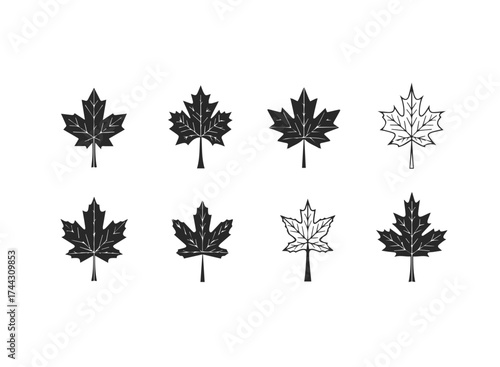 Collection of eight maple leaf icons
