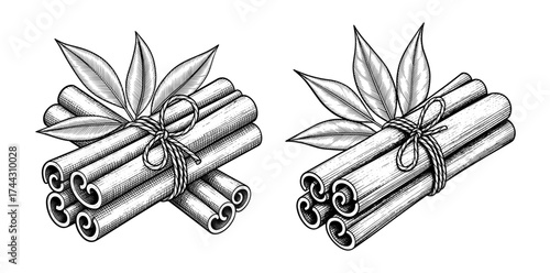 Vector art of hand drawn cinnamon sticks with leaves, vector illustration in sketch style