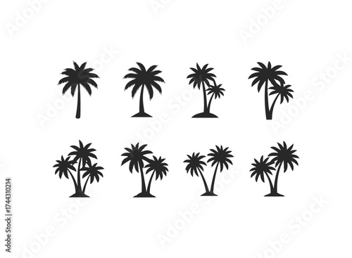 Collection of palm tree silhouettes