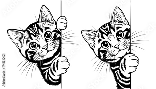 Vector art of two cute kittens peeking around the corner, vector illustration