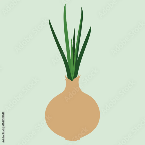 onion in a pot