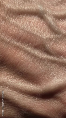 Close-up of skin texture of a man's hand with veins, vertical video