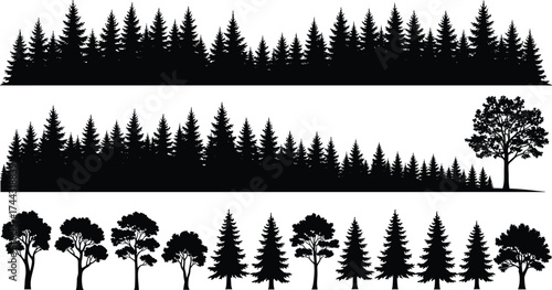 Tree silhouettes, forest rows, pine trees, fir trees, deciduousapes, tree types, botanical chart, minimalist design, forest illus\e