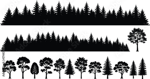 Tree silhouettes, forest rows, pine trees, fir trees, deciduous trees, tree comparison, natu\st, tree set