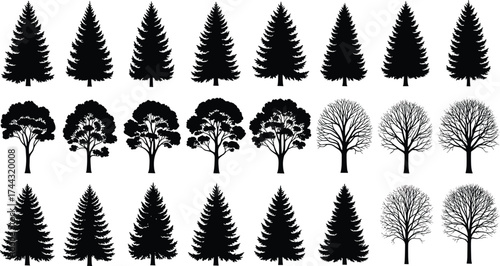 Tree, silhouette, coniferous, deciduous, seasonal, nature, forest, black and white, minimal, pine, fir, foliage, leafless, botanical, landscape, design, illustration, environment, grid, variation
