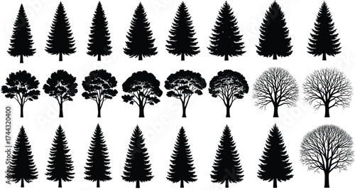 Tree, silhouette, coniferous, deciduous,onment, grid, variation, classification