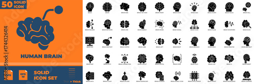 Human Brain Solid Editable Icons set. Vector illustration in modern thin solid style of Human Brain icons: anatomy, vector, lung, stomach etc