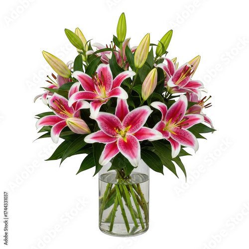 Vibrant pink stargazer lilies in a clear glass vase fresh floral arrangement isolated on transparent background