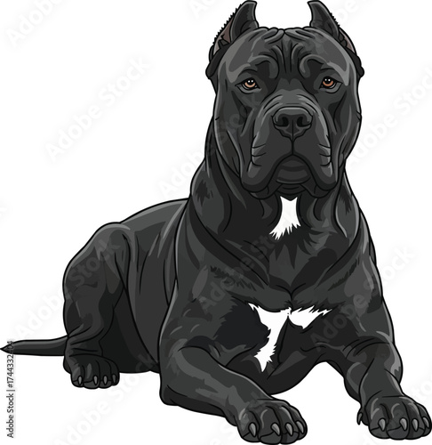Dogo Sardesco dog lying down relaxed pose vector illustration