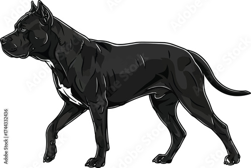 Dogo Sardesco dog walking trotting side view vector illustration