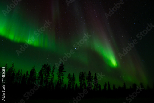 Aurora borealis Northern Lights fully covered the sky. Lapland amazing scenery