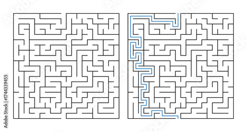 Maze puzzle with paths and solution lines in black and blue  