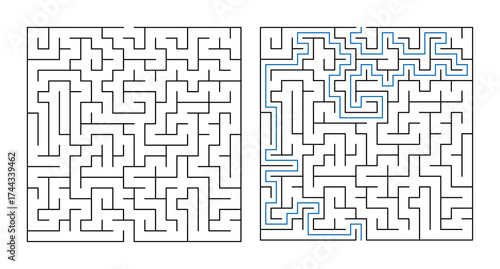 Labyrinth puzzle with solution indicated in blue lines  
