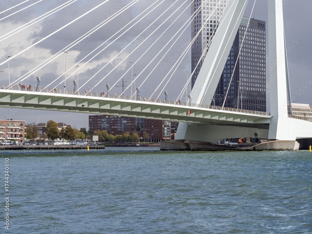 Fototapeta premium Erasmus Bridge in Rotterdam over the Maas River, modern Dutch architecture and urban landmark under cloudy sky